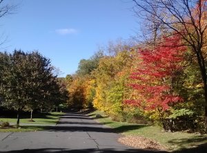 Fall Foliage in Northern New Jersey